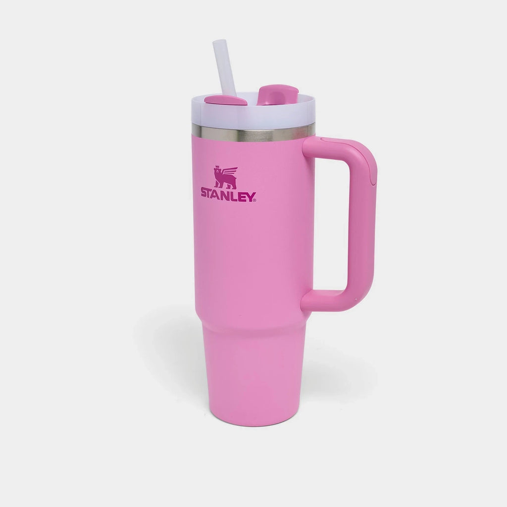 30 oz Insulated Handle Straw Tumbler
