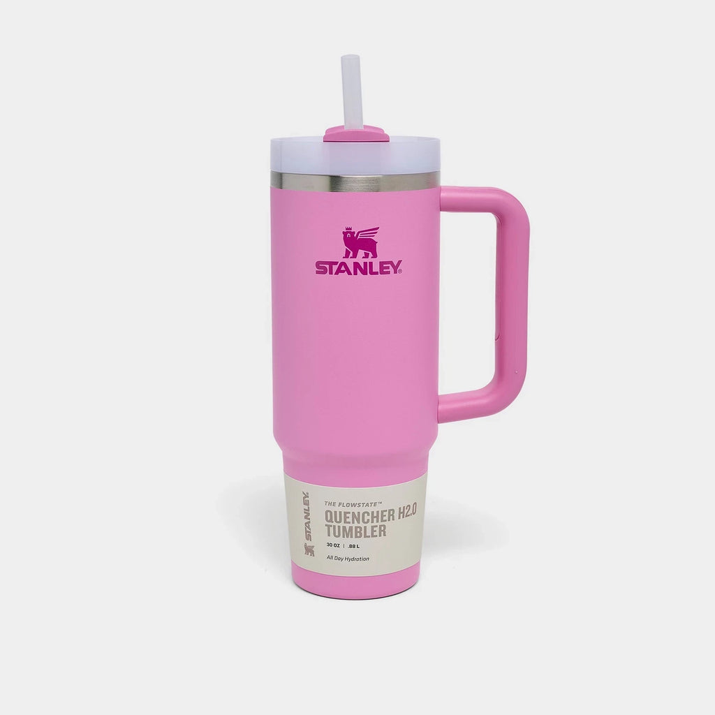 30 oz Insulated Handle Straw Tumbler