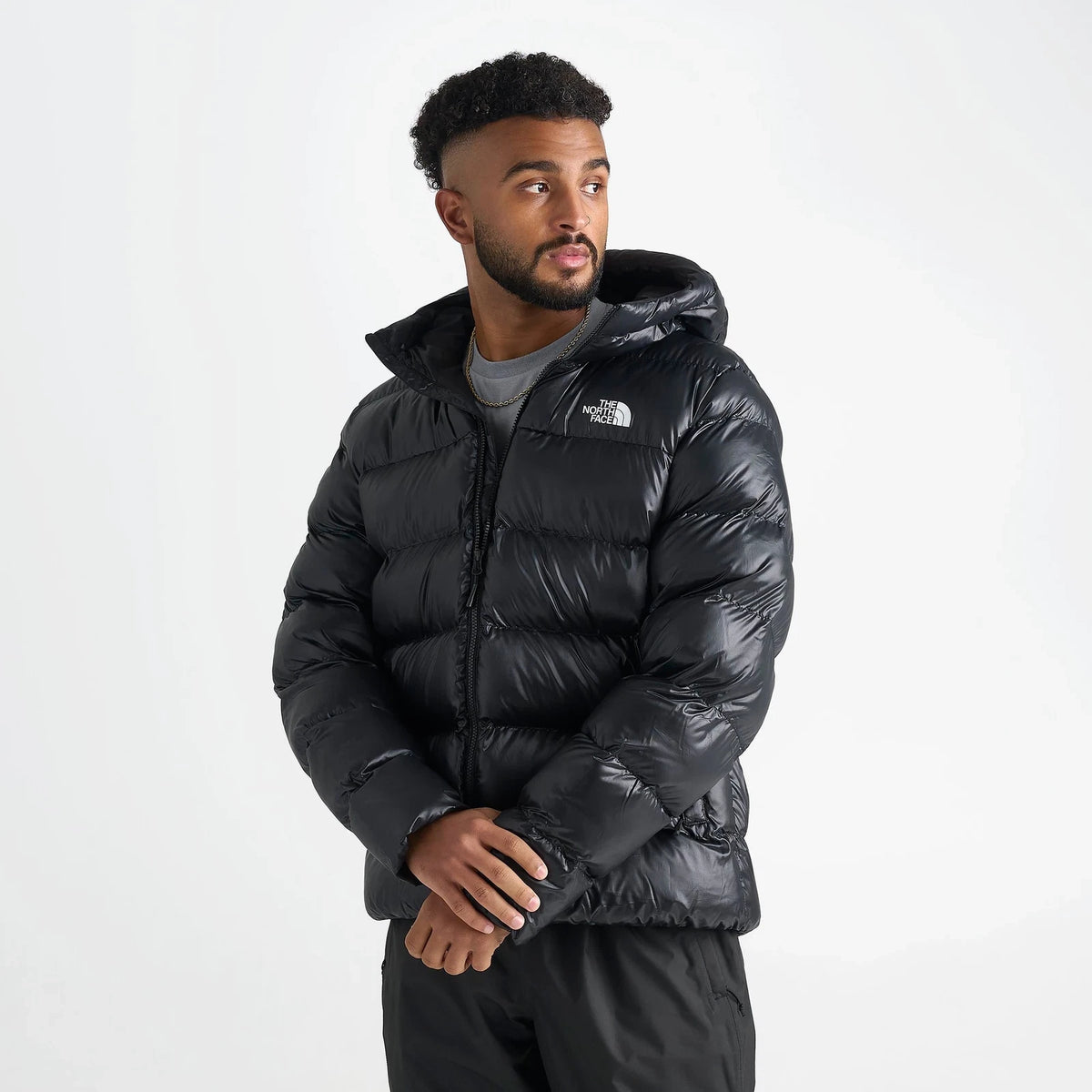 Men's Down Full-Zip Hooded Puffer Jacket