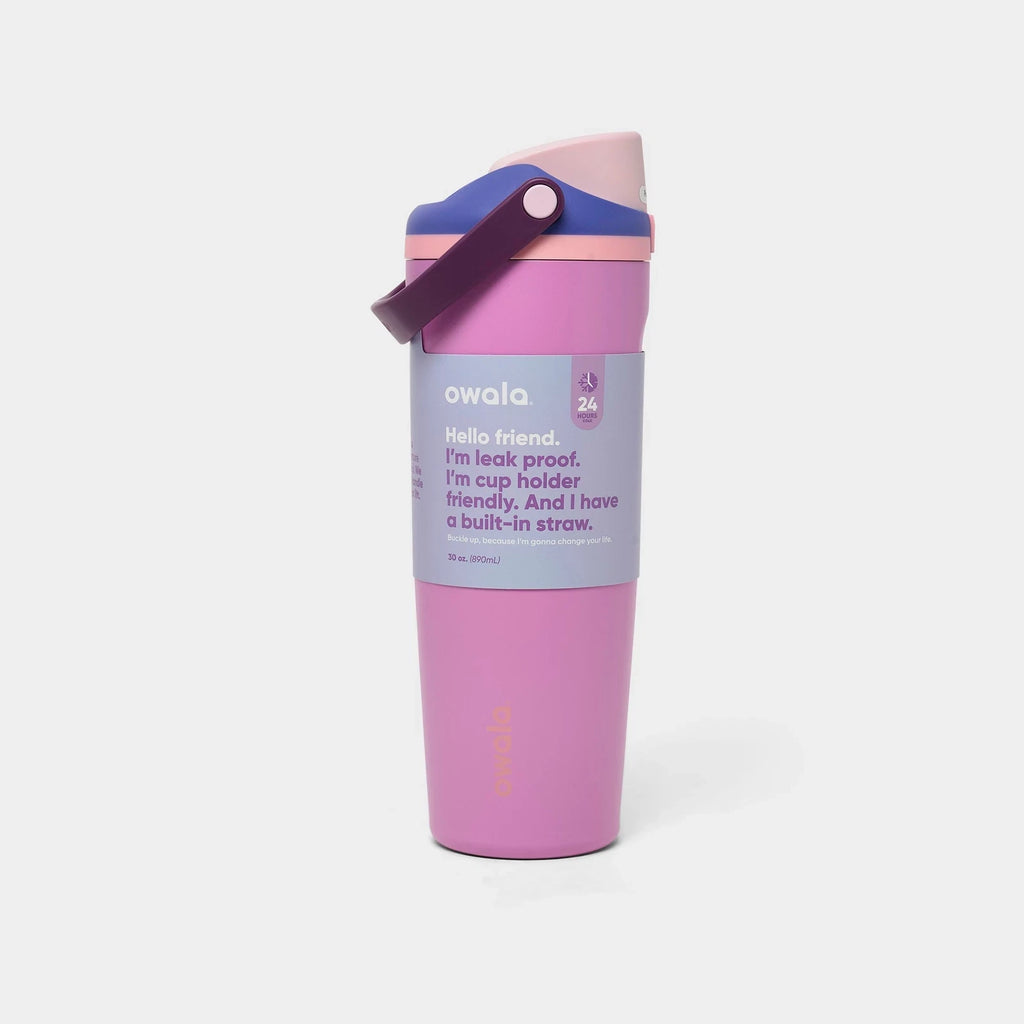 30 oz Insulated Straw Water Bottle