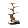 Branched Sculpted Solid Wood Cat Tree Shelf, Freestanding in Natural Oak finish
