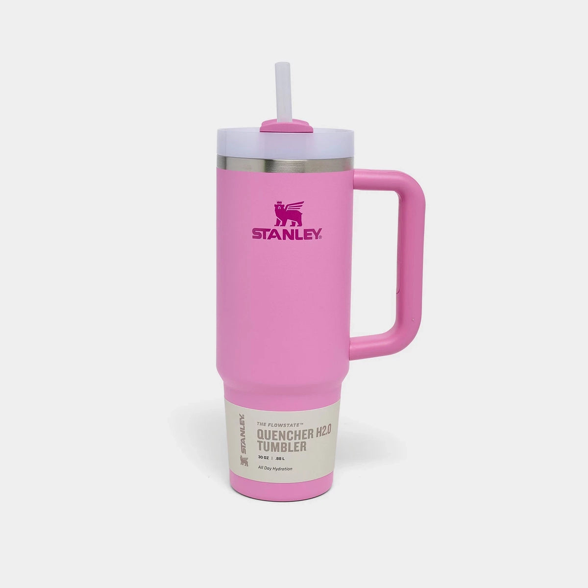 30 oz Insulated Handle Straw Tumbler