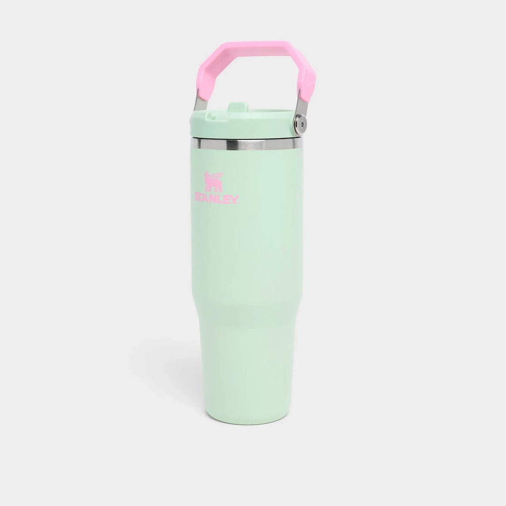 30 Oz Insulated Flip Straw Tumbler